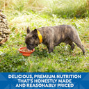 Nature'S Recipe Wet Dog Food, Variety Pack, 2.75 Ounce Cup (Pack Of 24)