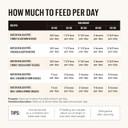 The Honest Kitchen Butcher Block Pã£Â¢Tã£Â©: Beef, Lamb & Spring Veggies Wet Dog Food, 10.5 Oz (Pack Of 6)