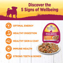Wellness Petite Entrees Mini Fillets Natural Wet Small Breed Dog Food, Roasted Chicken, Beef, Carrots & Green Beans, 3-Ounce Cup (Pack Of 24)