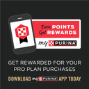 Purina Pro Plan Senior Dog Food Wet Gravy, Bright Mind 7+ Turkey And Brown Rice Entree - 10 Oz. Tub