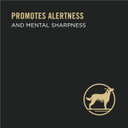Purina Pro Plan Senior Wet Dog Food, Bright Mind 7+ Beef And Brown Rice Entree - 10 Oz. Tub8 Ounce (Pack Of 10)