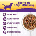 Wellness Thick & Chunky Natural Grain Free Canned Dog Food, Chicken Stew, 12.5-Ounce Can (Pack Of 12)