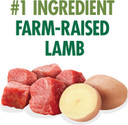 Nutro Limited Ingredient Diet Adult Canned Soft Wet Dog Food Premium Loaf Lamb & Potato Recipe, (12) 12.5 Oz. Cans