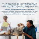 Blue Buffalo Natural Veterinary Diet Gi Gastrointestinal Support Wet Dog Food, Chicken 12.5-Oz Cans (Pack Of 12)