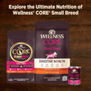 Wellness Core Natural Grain Free Mini Meals Shredded Variety Pack, 3-Ounce (Pack Of 12)