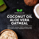 Pet Honesty Dog Allergy Relief Anti-Itch Shampoo For Dogs And Cats - Dog Skin And Coat Supplement, Itch Relief For Dogs, Moisturizing And Hydrating Coconut Oil + Vitamin E, Deodorizing Coat (16 Oz)