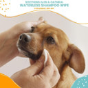 Nootie Waterless Shampoo Wipes For Dogs & Cats - Long Lasting Cucumber Melon Fragrance - Sold In Over 10,000 Vet Clinics And Pet Stores Worldwide, Made In Usa - 70 Count