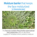 Pyunkang Yul Kids& Baby Face Lotion Moisturizer With Ceramide, Hyaluronic Acid, Lecithin, Cica | Calming, Hydrating, Soothing, Moisturizing Cream For Baby Dry, Rough, Sensitive Skin, Fragrance Free, Ewg Verified 6.76 Fl.Oz