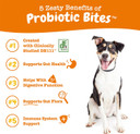 Zesty Paws Probiotics For Dogs - Digestive Enzymes For Gut Flora, Digestive Health, Diarrhea & Bowel Support - Clinically Studied De111 - Dog Supplement Soft Chew For Pet Immune System - Pumpkin90 Count