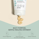 The Honest Company Head To Toe Multi-Purpose Healing Ointment | Gentle For Baby | Hypoallergenic, Vegan, Allantoin-Powered | 5 Oz The Honest Company Head To Toe Multi-Purpose Healing Ointment | Gentle For Baby | Hypoallergenic, Vegan, Allantoin-Powered | 5 Oz