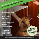 Pet Honesty Scoot Stopper - Digestion & Health Supplement For Dogs - Dog Anal Gland Support, Diarrhea & Bowel Support, Fiber & Dog Probiotics And Digestive Enzymes (90 Ct)