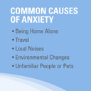 Solliquin Calming Behavioral Health Supplement For Small To Medium Dogs And Cats - With L-Theanine, Magnolia/Phellodendron, And Whey Protein Concentrate, 75 Soft Chews75 Ct Chew - Dog And Cat