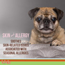 Licks Pill-Free Small Breed Dog Skin And Allergy - Omega 3 Dog Allergy Relief - Dog Vitamins & Supplements For Itch Relief - Turmeric Supplement For Dog Skin - Gel Packets - 10 Use10 Count (Pack Of 1)