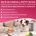 Dr. Harvey'S Health & Shine Salmon And Krill Fish Oil For Dogs- Supports Healthy Heart, Brain, And Eyes (16 Fl Oz)