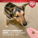 Vetiq Multivitamin Supplement For Dogs, Health Support Supplement Soft Chews, 90 Count90 Count