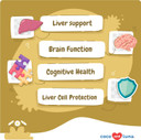Same And Silybin For Dogs - S-Adenosyl-L-Methionine, Same For Dogs, Liver Supplements For Dogs, Brain Supplement For Dogs, Dog Liver Support Supplement (Soft Chews)