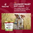 Naturvet  Cranberry Relief Plus Echinacea  Helps Support A Healthy Urinary Tract & Immune System  60 Soft Chews60 Soft Chews
