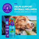 Evolutions By Naturvet All-In-One + Superfoods 90Ct Soft Chews For Dogs - Bone Broth, Superfoods Provides Nutritional Support For Healthy Digestion, Joints, Skin & Coat, Immune System, Overall Health