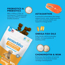 Vetnique Labs Seniorbliss Aging Dog (7+) Senior Dog Vitamins And Supplements, Supports Heart, Allergy, Arthritis, Skin And Coat - Furever Young (Probiotic Chew, 120Ct)120Ct