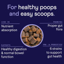 Finn Digestive Probiotics For Dogs - Complete Digestive System Support With Pumpkin, Prebiotics, & Live Probiotics - Vet Recommended & Made In The Usa - 90 Soft Chews