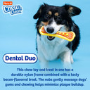 Hartz Chew 'n Clean Dental Duo Bacon Flavored Dental Dog Chew Toy and Treat - Large, Colors may varyLarge (Pack of 1)