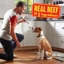 Pup-Peroni Filet Mignon & Bacon Flavor Dog Treats, 22.5 Ounce22.5 Ounce