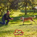 Pup-Peroni Original Bacon Flavor Dog Treats, 22.5 Ounce22.5 Ounce