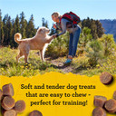 Zuke'S Mini Naturals Training Dog Treats Pork Recipe - 16 Oz Bag16 Oz (Pack Of 1)