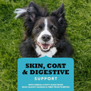 Acana Chewy Tenders Dog Treats, Salmon, High Protein Dog Treats, 4Oz