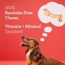 Dreambone Vegetable & Chicken Dog Chews, Rawhide Free, Small, 10-Count (Dbc-02029)