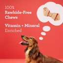 Dreambone Mnii Chews, Made With Real Vegetable & Chicken Dog Chews, Rawhide Free, 36 Count36 Count (Pack Of 1)