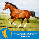 Farnam Fluidflex Liquid Joint Supplement For Horses, Helps Maintain Healthy Hip & Joint Function, 64 Ounces, 64 Day Supply