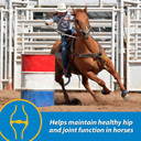 Farnam Fluidflex Liquid Joint Supplement For Horses, Helps Maintain Healthy Hip & Joint Function, 64 Ounces, 64 Day Supply