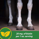 Farnam Hb 15 Hoof Supplement, Supports Healthy Hoof Growth 7 Pound, 112 Day Supply7 Pounds