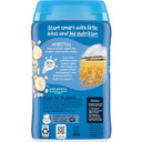 Gerber Baby Cereal 2Nd Foods Probiotic, Oatmeal Banana, 8 Ounce (Pack Of 6)