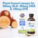 Garden Of Life Plant Omega-3 Ala, Dha & Epa Supplement For Children -Liquid, Strawberry - Vegan Brain & Eye Support For Kids, Sugar Free & Non-Gmo - 2 Fl Oz