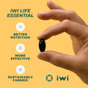 Iwi Life Vegan Omega 3 Essential - 30 Softgels I Algae Omega 3 Supplement, 950Mg Algae Oil, Epa Dha Omega-3 Fatty Acids, Plant Based Fish Oil For Heart, Brain, Joints, Immune Support - 90 Day Supply Iwi Life Vegan Omega 3 Essential - 30 Softgels I Algae Omega 3 Supplement, 950Mg Algae Oil, Epa Dha Omega-3 Fatty Acids, Plant Based Fish Oil For Heart, Brain, Joints, Immune Support - 90 Day Supply