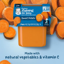 Gerber 2Nd Food Baby Food Sweet Potato Puree, Natural & Non-Gmo, 4 Ounce Tubs, 2 Count (Pack Of 8)