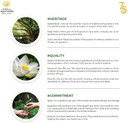 Kerala Ayurveda Santhwanam Oil - Daily Ayurvedic Massage Oil - Supports Vitality & Strength, Balances Tridoshas, 6.76 Fl Oz