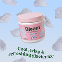 Bloom Nutrition Original Pre Workout Powder, Amino Energy With Beta Alanine, 85Mg Natural Caffeine From Green Tea Extract, Sugar Free & Keto Friendly Drink Mix For Low Intensity Workouts, Glacier Ice40 Servings (Pack Of 1)