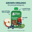 Gerber Organic Baby Food Pouches, 2Nd Foods For Sitter, Apple Zucchini Spinach Strawberry, 3.5 Ounce (Pack Of 12)