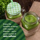 Manitoba Harvest Organic Hemp & Matcha Powder, 5.5 Oz  Energy, 6G Of Protein, 2G Of Fiber Per Serving  Matcha Protein Powder - Blend In Smoothies  Vegan, Non-Gmo Project Verified - 56G Of Caffeine