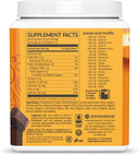 Sunwarrior Vegan Organic Protein Powder Plant-Based | 5 Superfood Quinoa Chia Seed Soy Free Dairy Free Gluten Free Synthetic Free Non-Gmo | Chocolate 15 Servings | Classic Plus15 Servings (Pack Of 1)