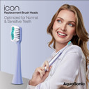 Aquasonic Icon Replacement Brush Heads | Compatible With Aquasonic Icon Toothbrush | 2 Brush Heads | For Normal & Sensitive Teeth (Lilac)Lilac