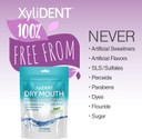 Nature'S Stance Xylident Xylitol Tablets For Dry Mouth Relief - Stimulates Saliva, Freshens Breath, Reduces Acid Production, Fast Acting Relief, 40 Count (Wintergreen)