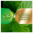 Super Poligrip Power Max Power Hold + Fresh Denture Cream, Premium Peppermint - 2.2 Oz X 4