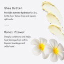 Fekkai Shea Butter Intense Moisture Shampoo + Conditioner - 8.5 Oz Bottle Of Each - Provide Extreme Hydration, Tame Frizz & Repair Split Ends - Salon Grade, Ewg Compliant, Vegan & Cruelty Free Fekkai Shea Butter Intense Moisture Shampoo + Conditioner - 8.5 Oz Bottle Of Each - Provide Extreme Hydration, Tame Frizz & Repair Split Ends - Salon Grade, Ewg Compliant, Vegan & Cruelty Free