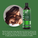 Artnaturals Tea Tree Shampoo - (16 Fl Oz / 473Ml) - Sulfate Free  Made With 100% Pure Therapeutic Grade Tea Tree Essential Oil