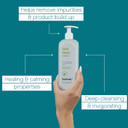 Baebody Award Winning Tea Tree Shampoo - Clarifying Shampoo For Build-Up, Dry Scalp Shampoo For Oily Hair - Vegan Tea Tree Oil Anti-Dandruff Shampoo For Men/Women