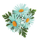 Chi Cleancare - Clarifying Shampoo 25 Fl Oz - Deeply Cleanses Hair And Scalp To Remove Build Up While Purifiying Hair And Restoring Moisture To Keep Hair Refreshed